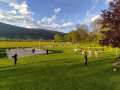 IMG_20250512_193453-min